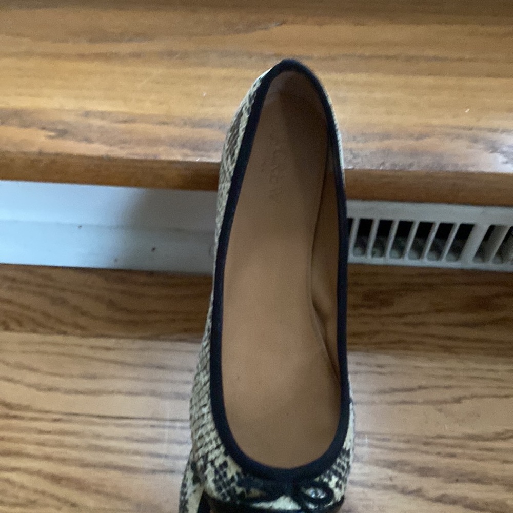 Versatile flats - Picture 3 of 6
